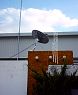 gnuevo9.jpg